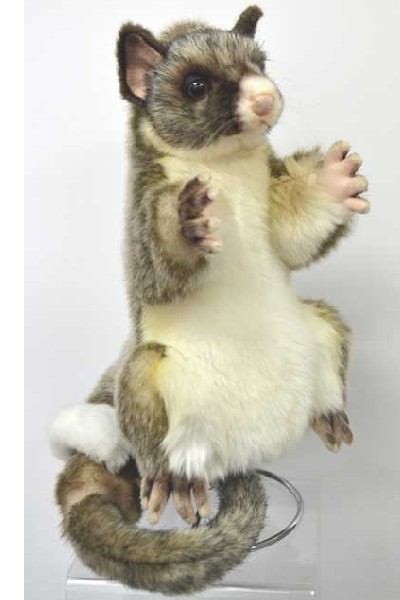 hansa possum puppet