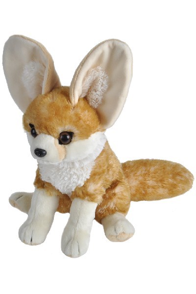 fox teddy