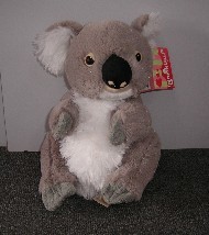 koala teddies