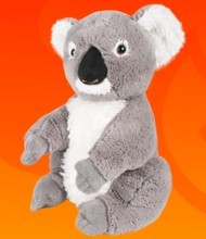 koala teddies