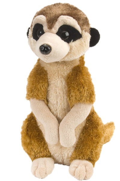 meerkat teddy for sale