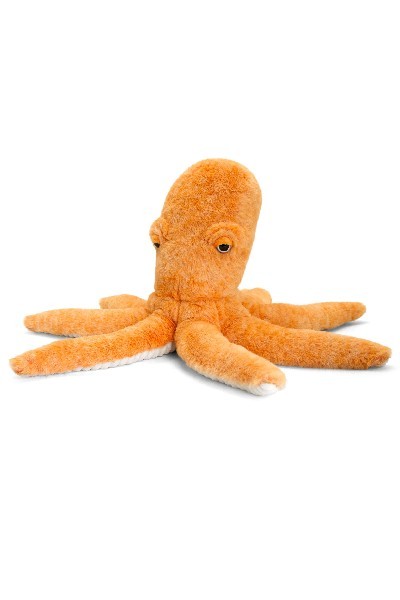 octopus teddy ireland