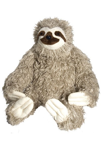 large cuddly sloth