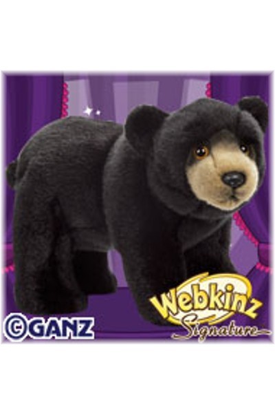 Buy Webkinz Signature Black Bear Online From Nanas Teddies