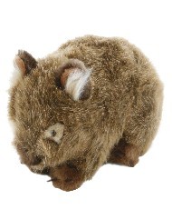 wombat teddy