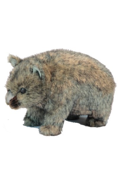 wombat teddy