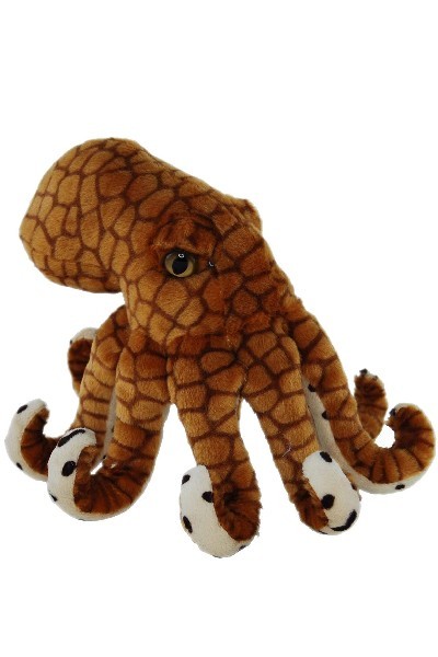 the octopus teddy