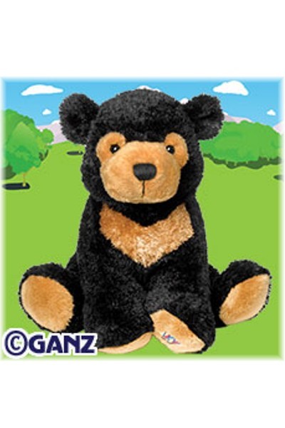 webkinz sun bear