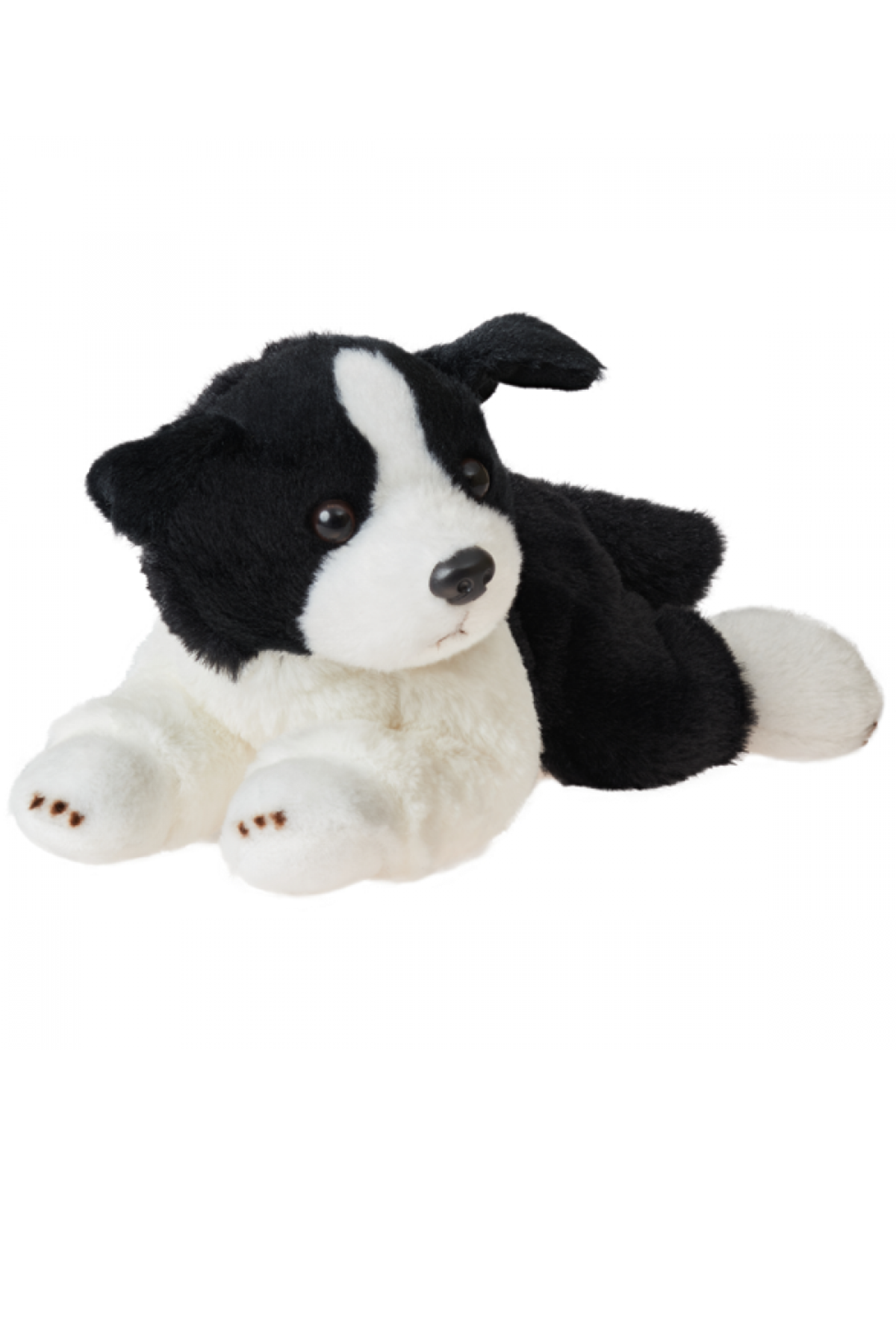 collie teddy