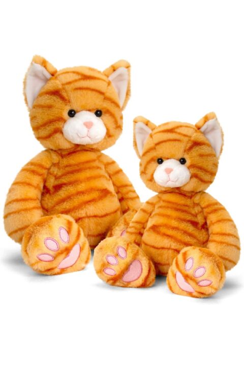 Buy Ginger Cat Love To Hug Online From Nanas Teddies