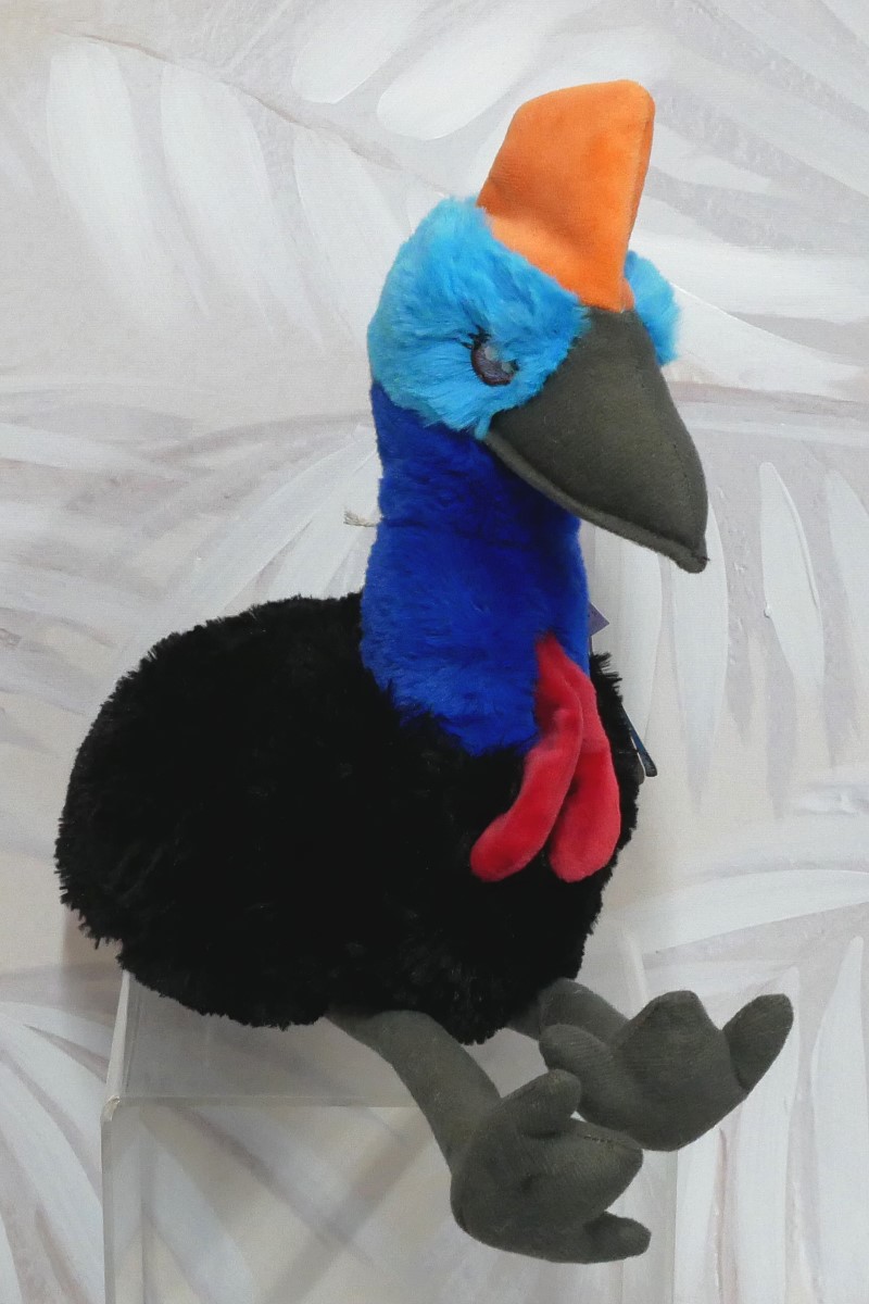 CASSOWARY