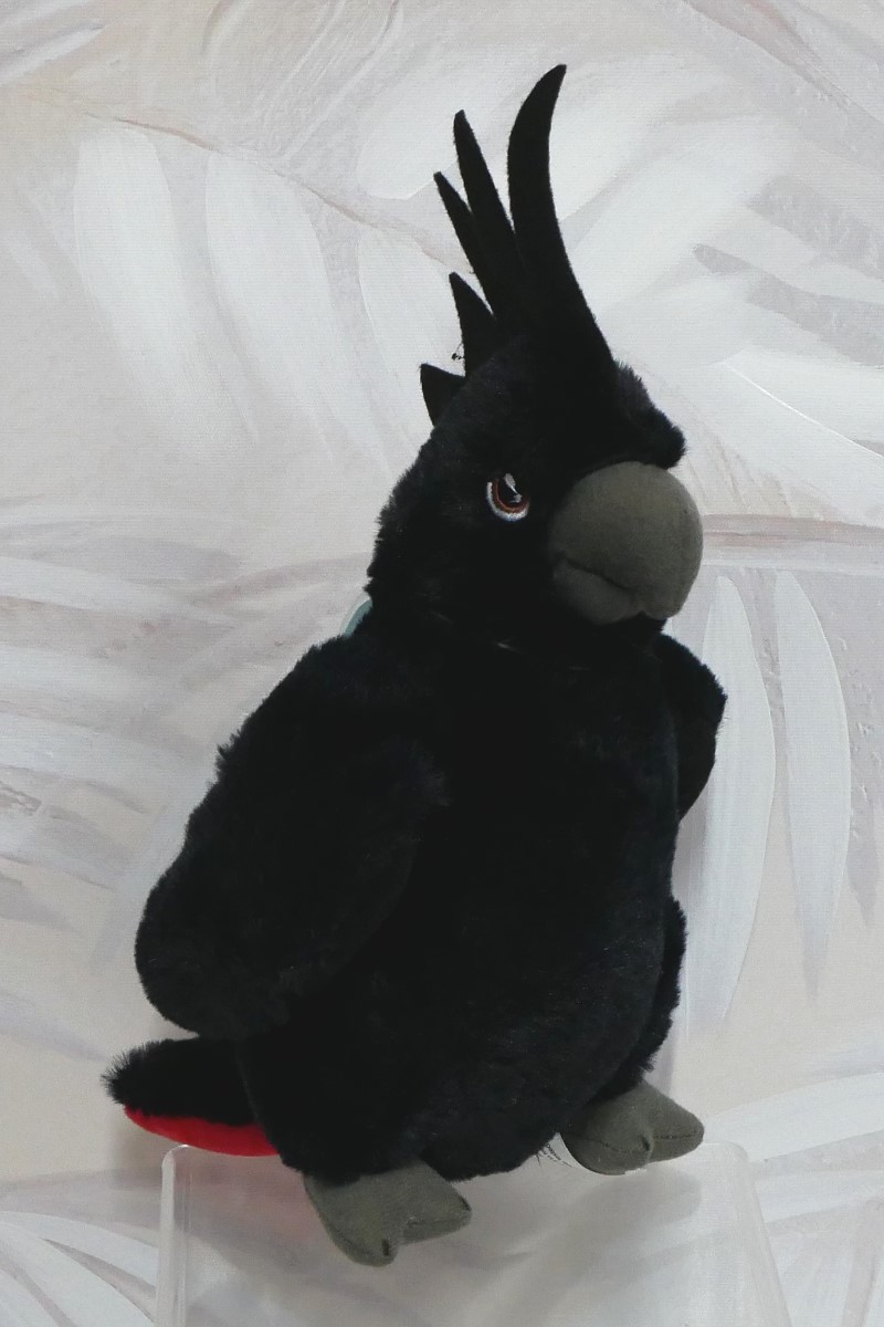 BLACK COCKATOO