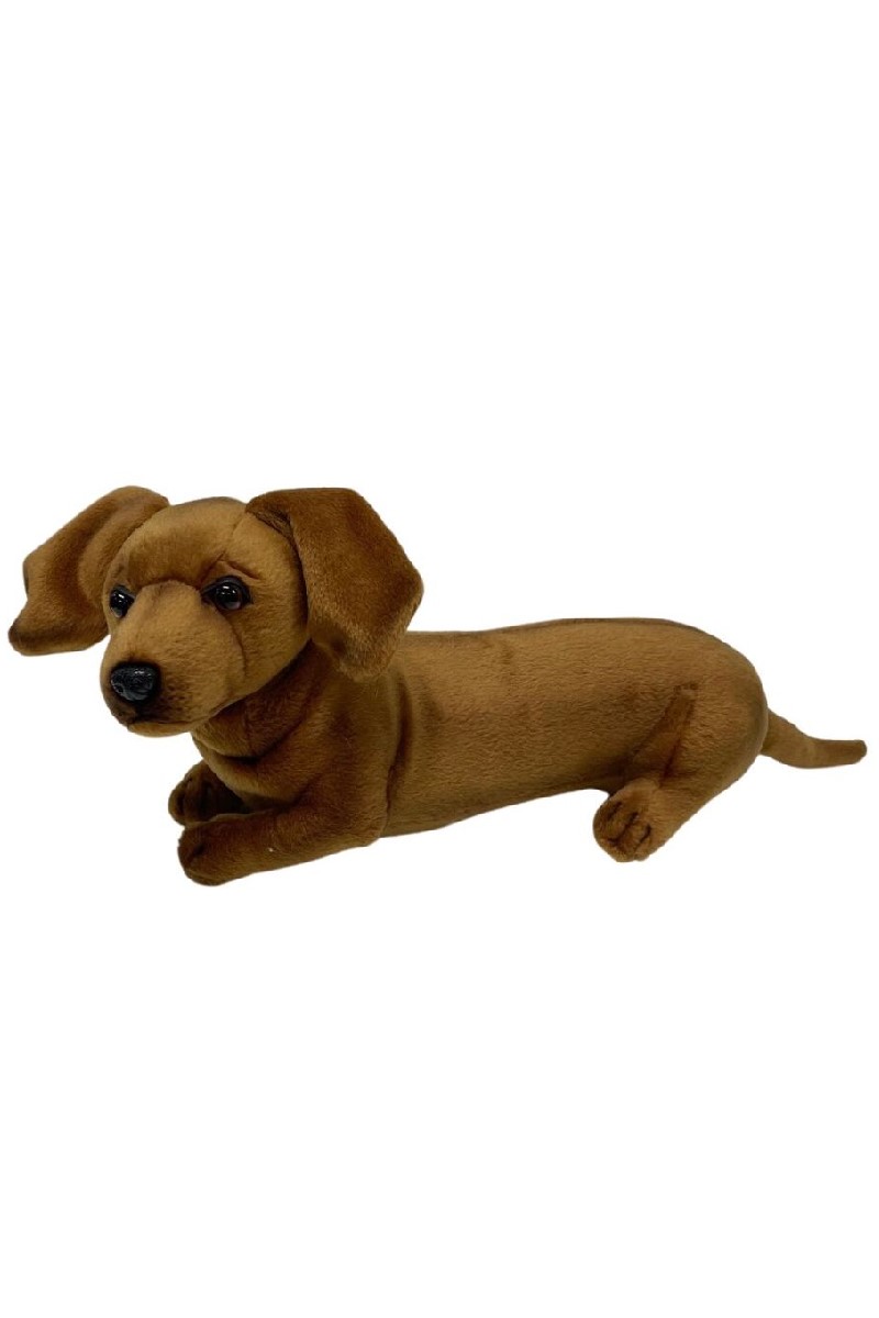 DACHSHUND