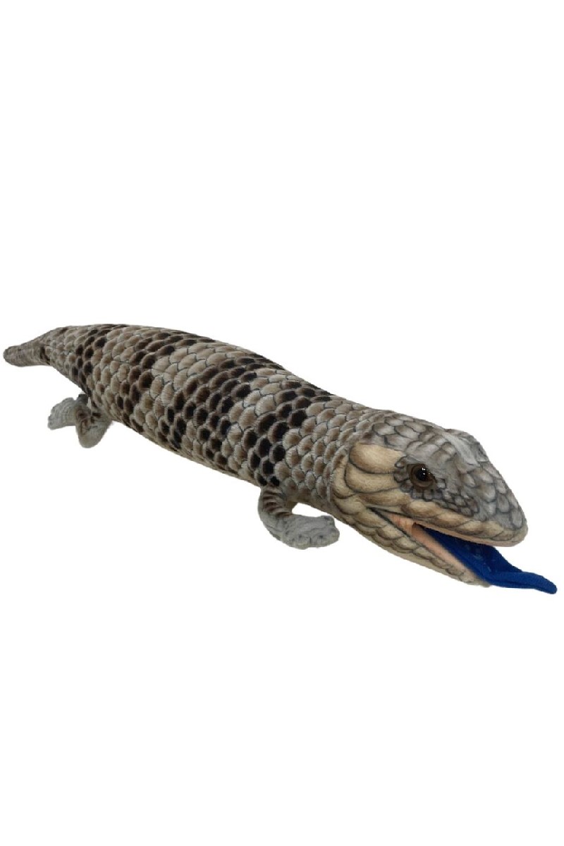 BLUE TONGUE LIZARD